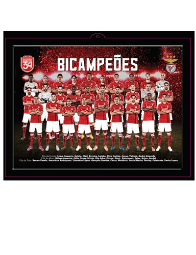 Quadro 3D Benfica Bicampeão