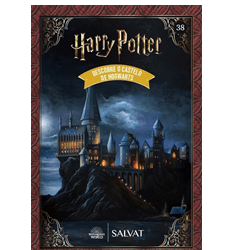 Fascículo 38 - Castelo de Hogwarts
