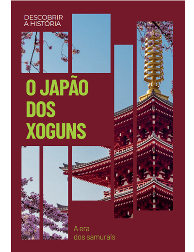 O Japão dos Xoguns