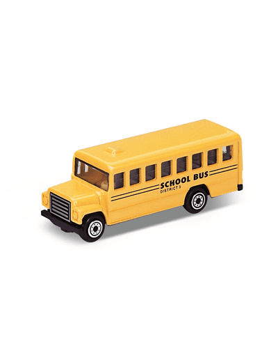 SCHOOL BUS